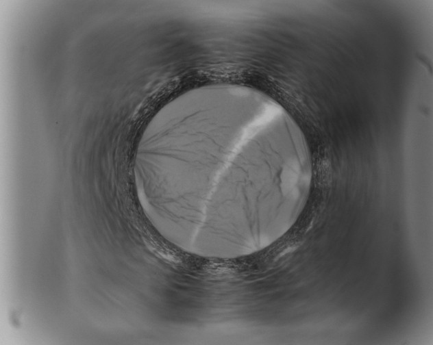 X0000100760913200807171338