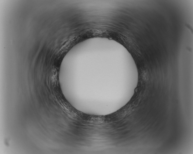 X0000100760914200807171338