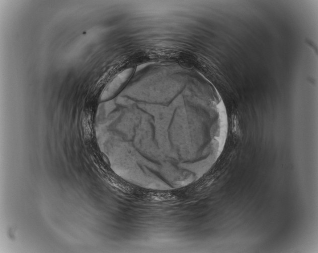 X0000100760915200807171338