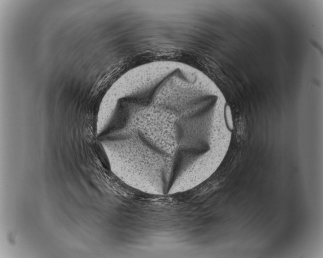 X0000100760916200807171338