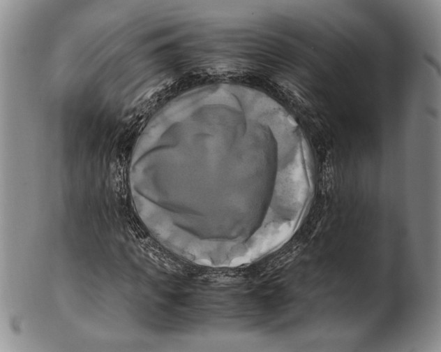 X0000100760917200807171338