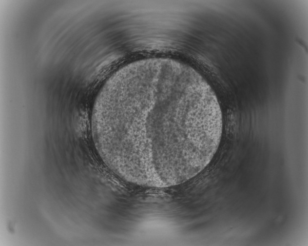 X0000100760918200807171338