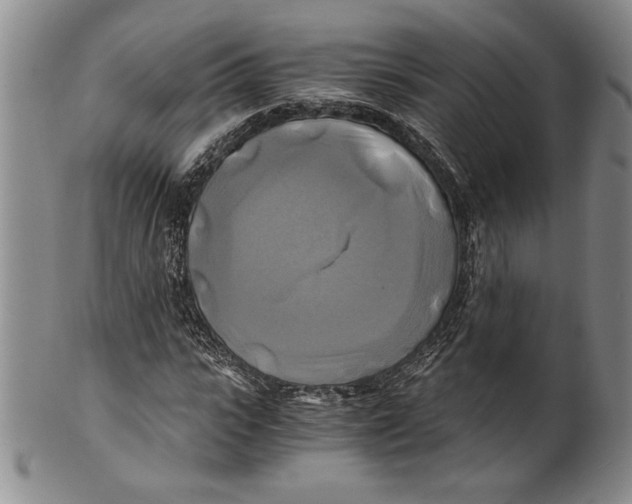 X0000100760919200807171338