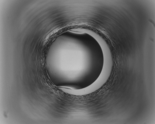 X0000100760920200807171338