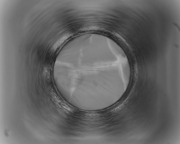 X0000100760921200807171338
