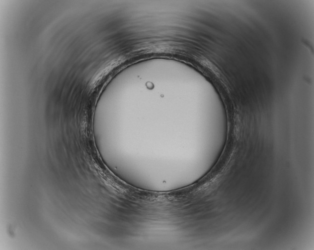 X0000100760922200807171338