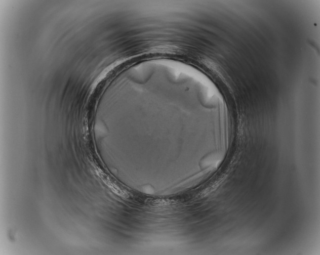 X0000100760923200807171338