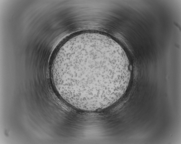 X0000100760924200807171338