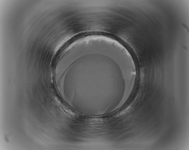 X0000100760925200807171338