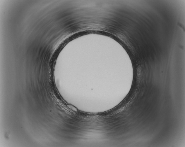 X0000100760926200807171338