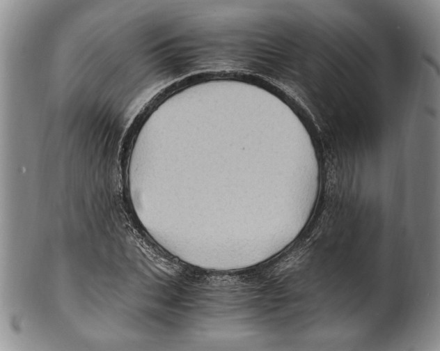 X0000100760927200807171338