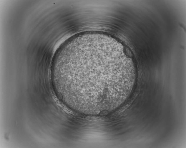 X0000100760928200807171338