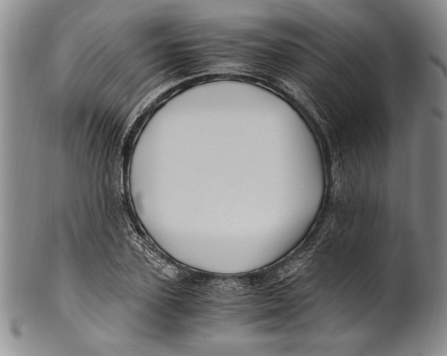 X0000100760931200807171338