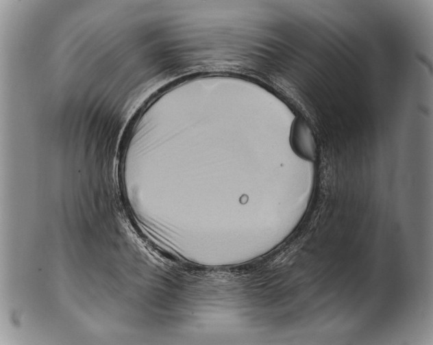 X0000100760932200807171338