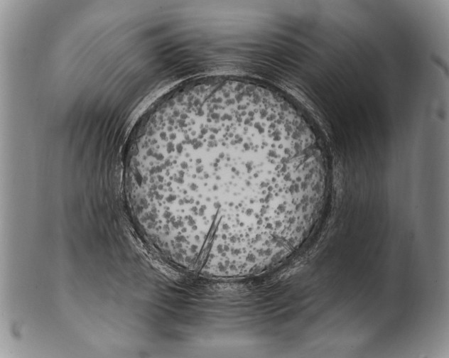 X0000100760933200807171338