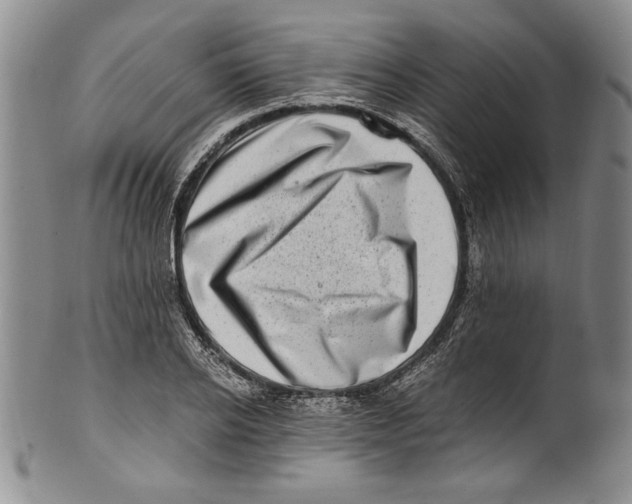 X0000100760934200807171338