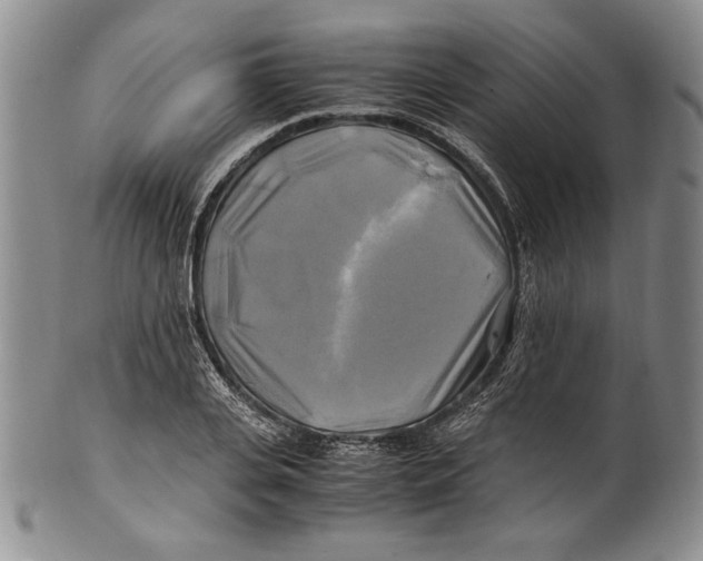 X0000100760935200807171338