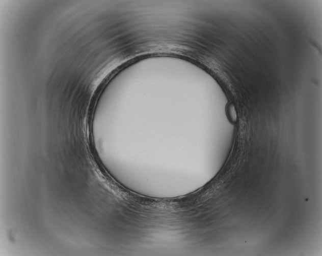 X0000100760936200807171338