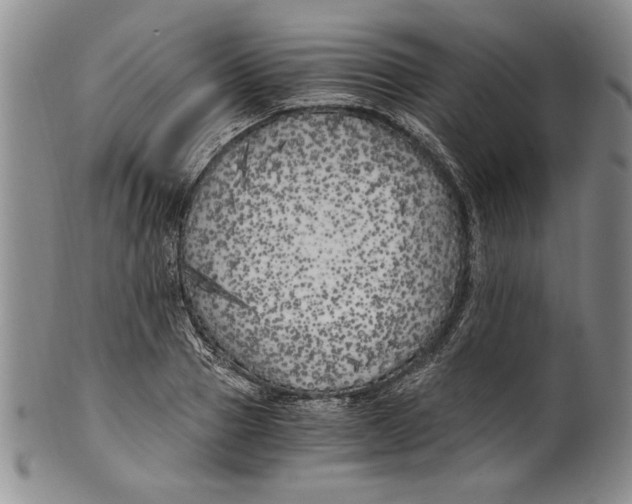 X0000100760937200807171338