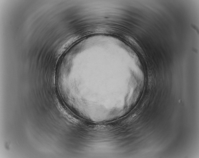 X0000100760938200807171338