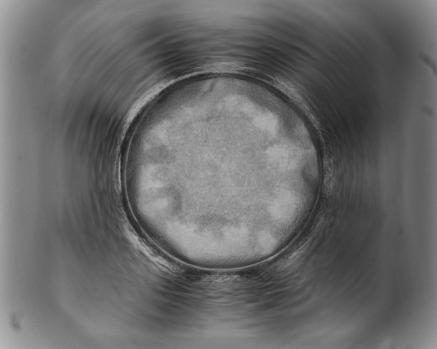 X0000100760939200807171338