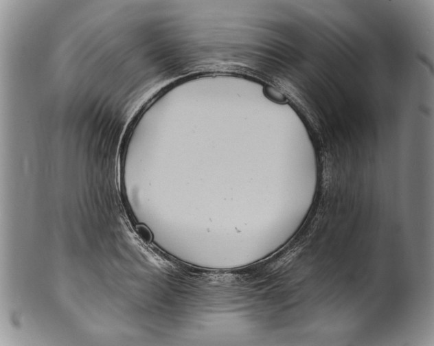 X0000100760940200807171338