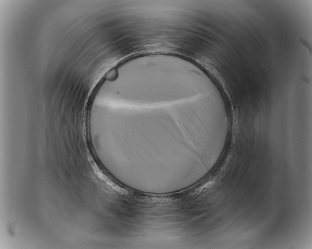 X0000100760941200807171338