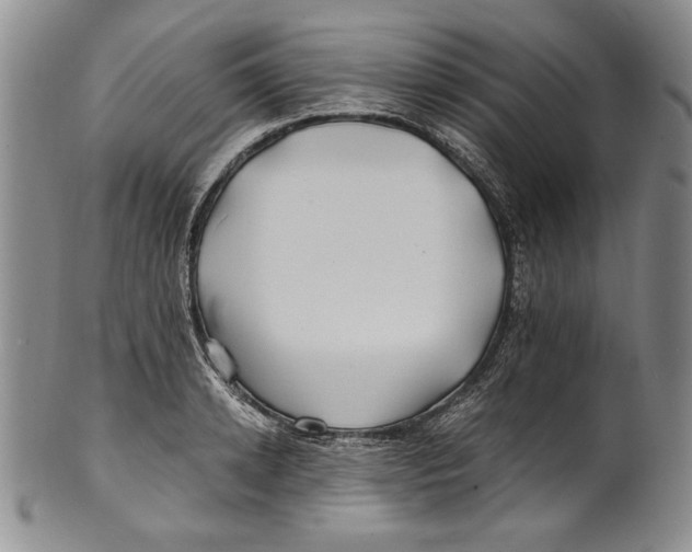 X0000100760942200807171338