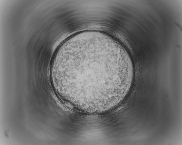 X0000100760944200807171338