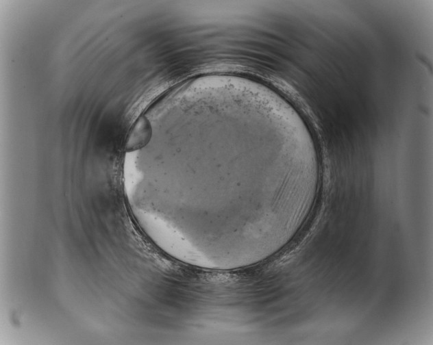 X0000100760945200807171338