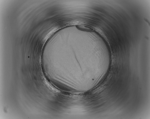 X0000100760946200807171338