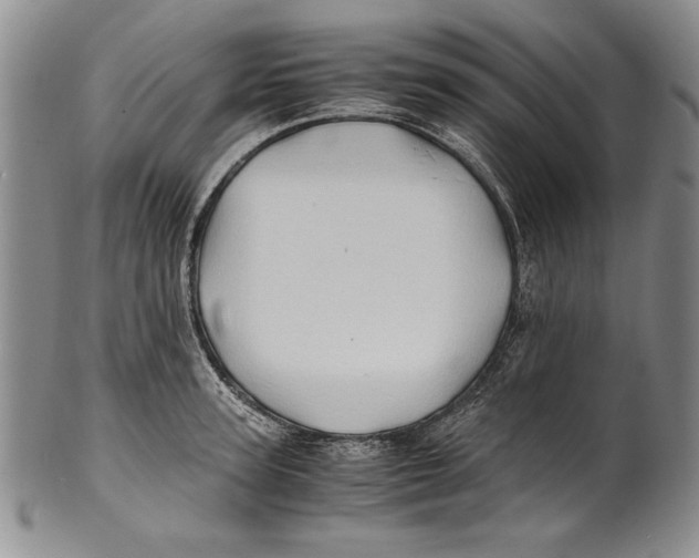 X0000100760947200807171338