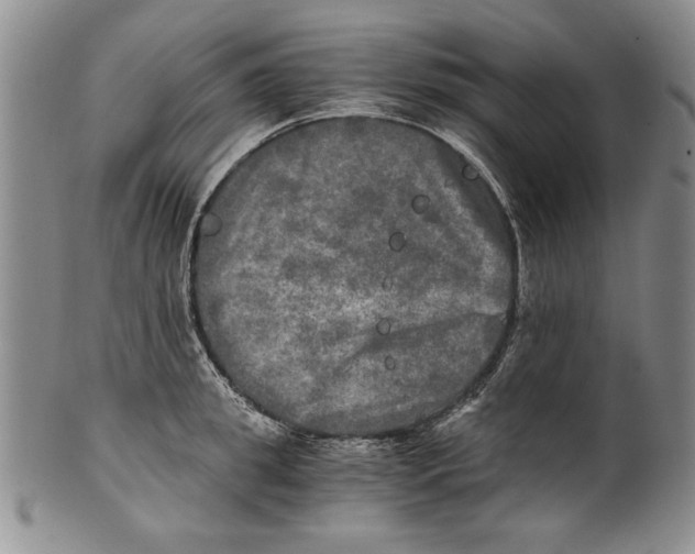 X0000100760949200807171338
