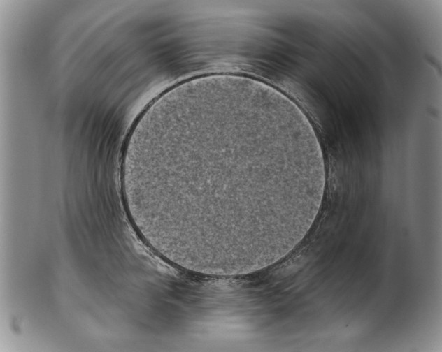 X0000100760950200807171339
