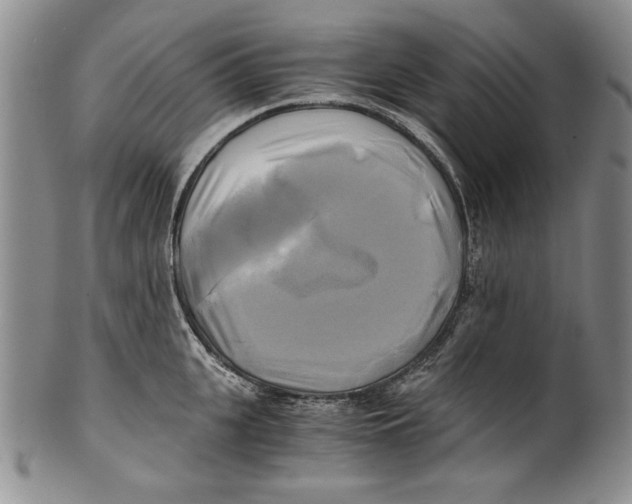 X0000100760951200807171339