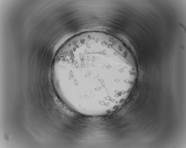 X0000100760952200807171339