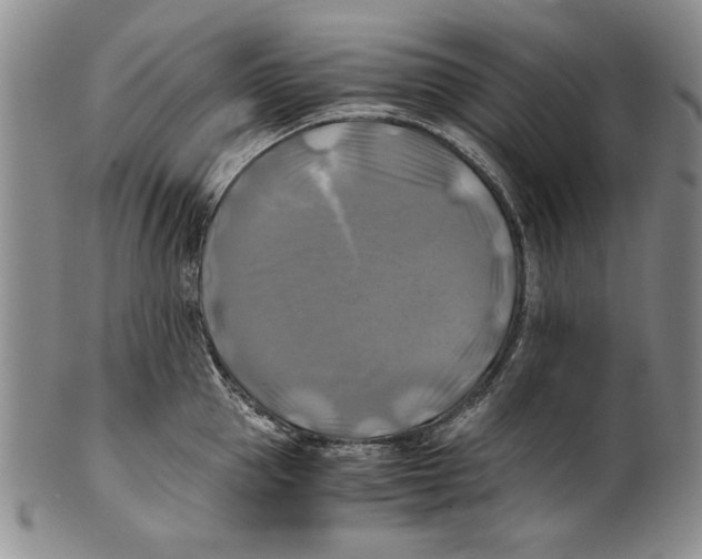 X0000100760953200807171339