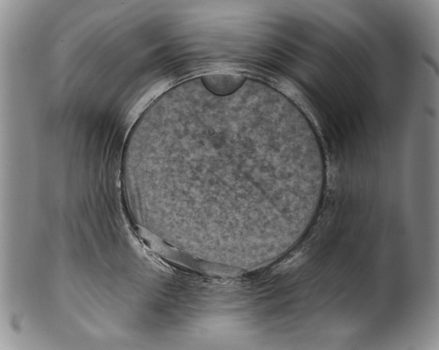 X0000100760954200807171339