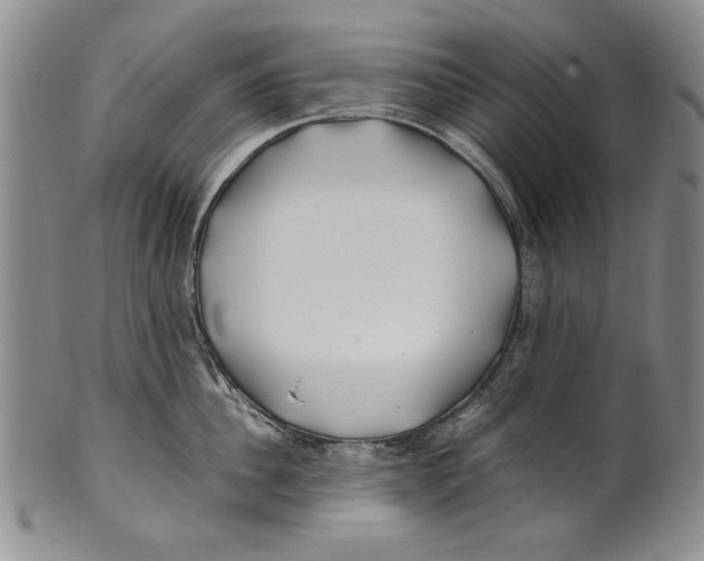 X0000100760956200807171339