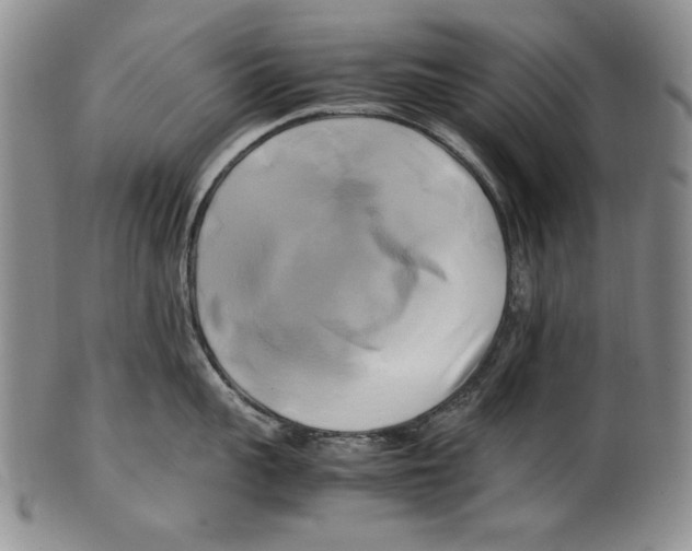 X0000100760959200807171339