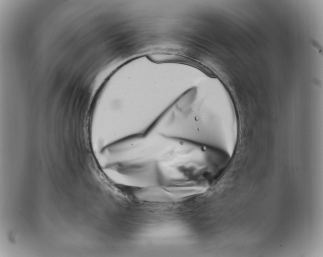 X0000100760960200807171339