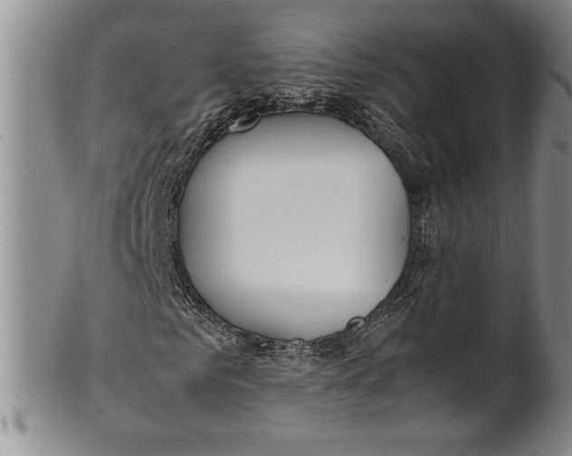 X0000100760961200807171338