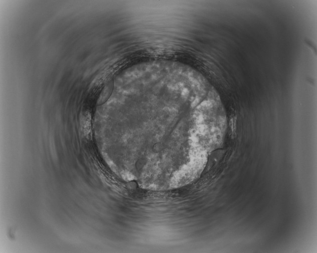 X0000100760963200807171338