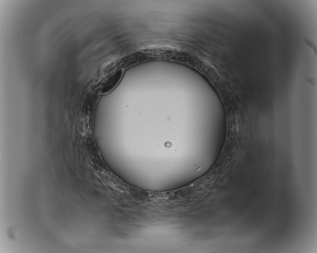 X0000100760965200807171338