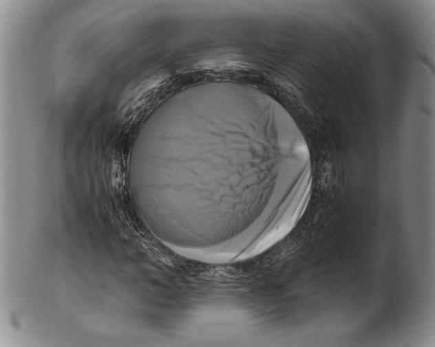 X0000100760966200807171338