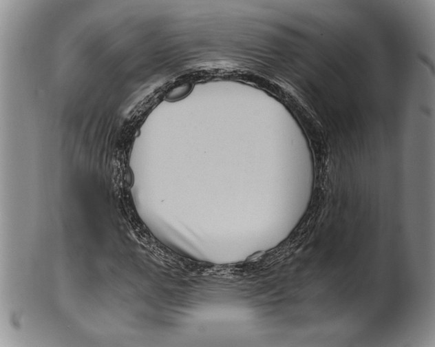 X0000100760967200807171338