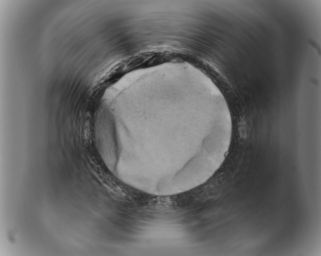 X0000100760968200807171338