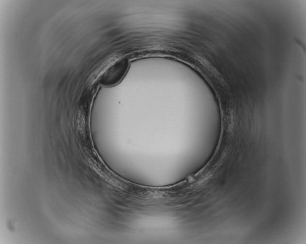 X0000100760969200807171338