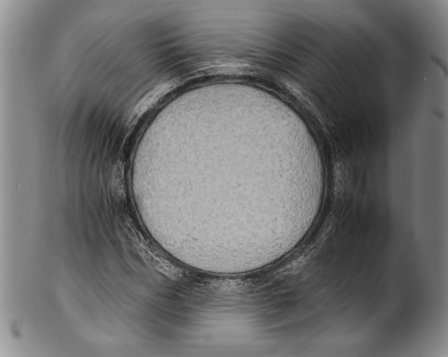 X0000100760970200807171338