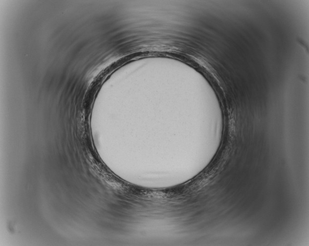 X0000100760971200807171338